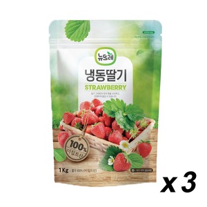 [냉동] 뉴뜨레 냉동 딸기(무가당 이집트산) 1kg 3개